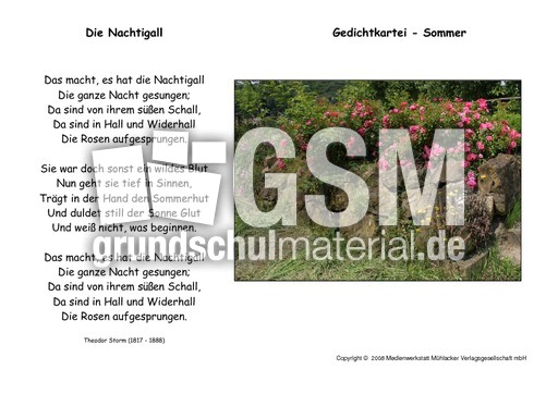 Die-Nachtigall-Storm.pdf